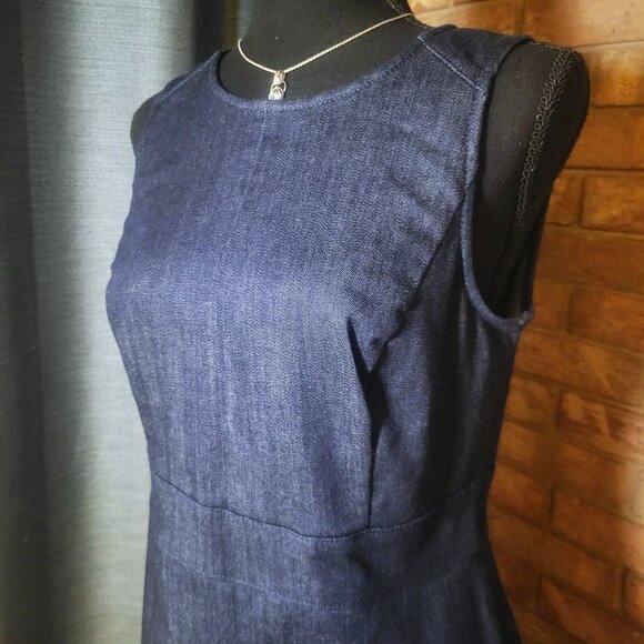 Ann Taylor Denim Sleeveless Back Zipper Fitted Shift Dress = Size 8P - Picture 2 of 11